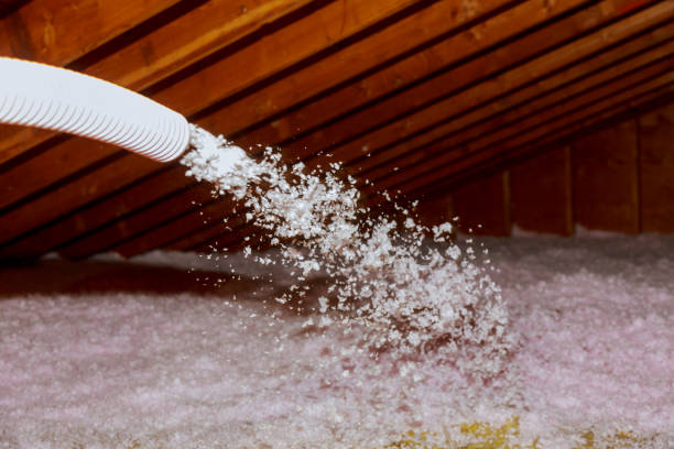 Best Fiberglass Insulation in Riva, MD