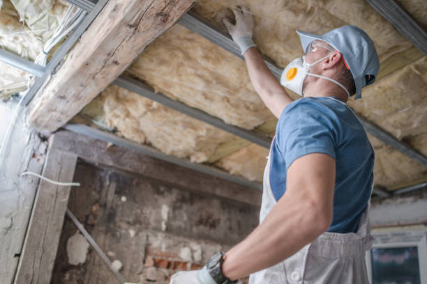 Best Spray Foam Insulation in Riva, MD