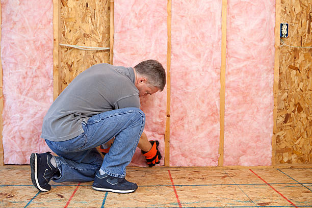 Types of Insulation We Offer in Riva, MD