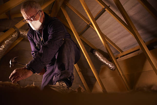 Best Residential Insulation in Riva, MD